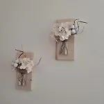아파트 Elisa 비알라