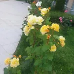 Elisa 아파트 비알라