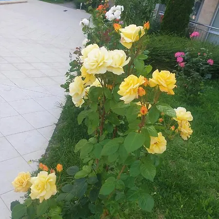 Elisa Lejlighed Byala (Varna)